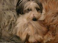 Mum & daughter sleeping
